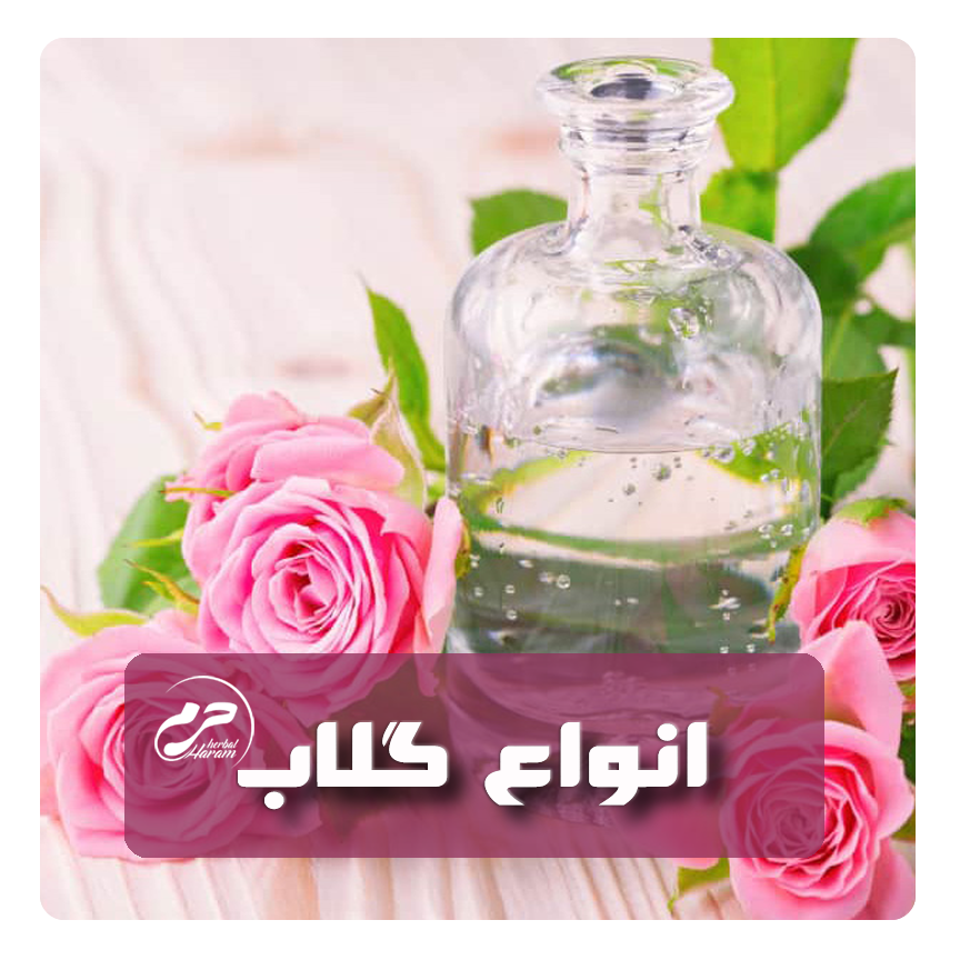 انواع گلاب حرم مشهد