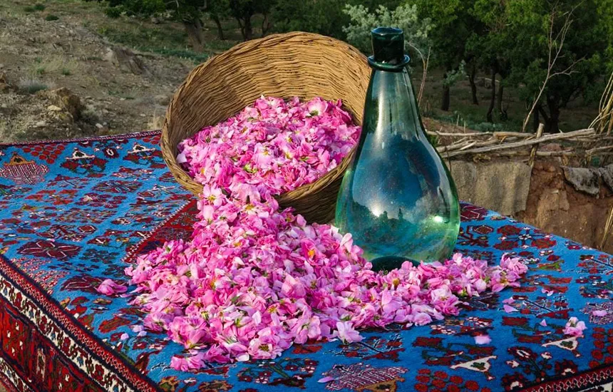 گلاب